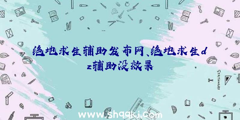 绝地求生辅助发布网、绝地求生dz辅助没效果