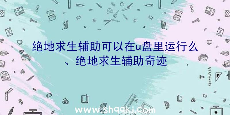 绝地求生辅助可以在u盘里运行么、绝地求生辅助奇迹