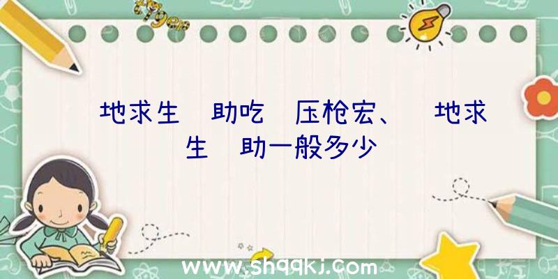 绝地求生辅助吃鸡压枪宏、绝地求生辅助一般多少钱