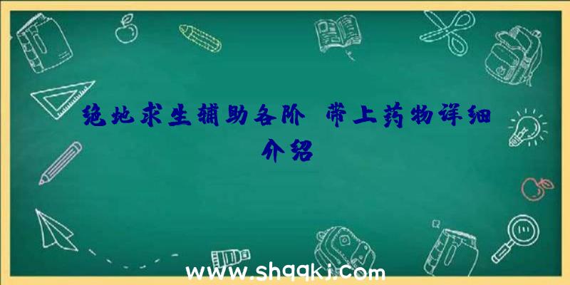 绝地求生辅助各阶段带上药物详细介绍