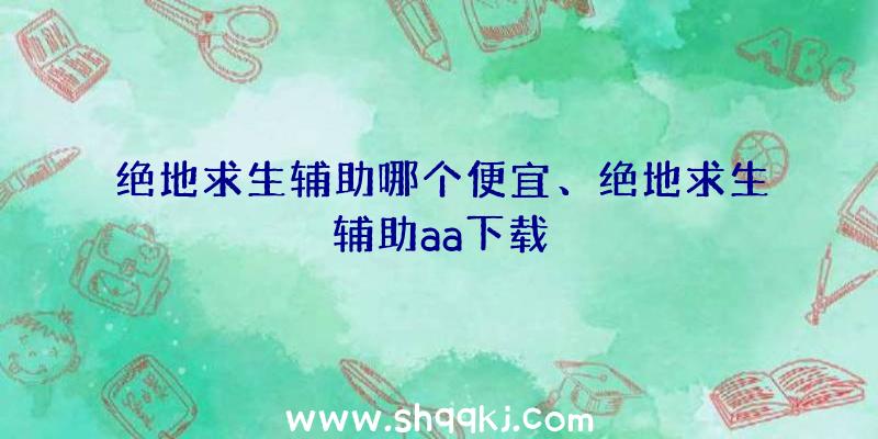 绝地求生辅助哪个便宜、绝地求生辅助aa下载