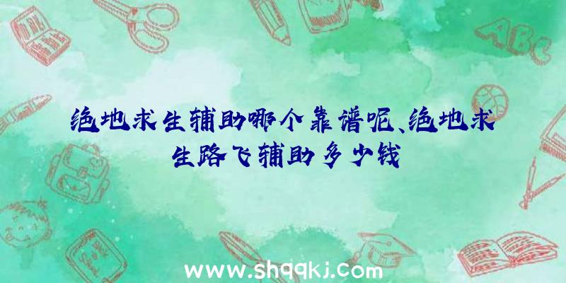 绝地求生辅助哪个靠谱呢、绝地求生路飞辅助多少钱