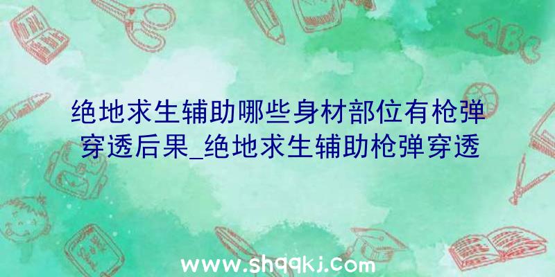 绝地求生辅助哪些身材部位有枪弹穿透后果_绝地求生辅助枪弹穿透机制解析