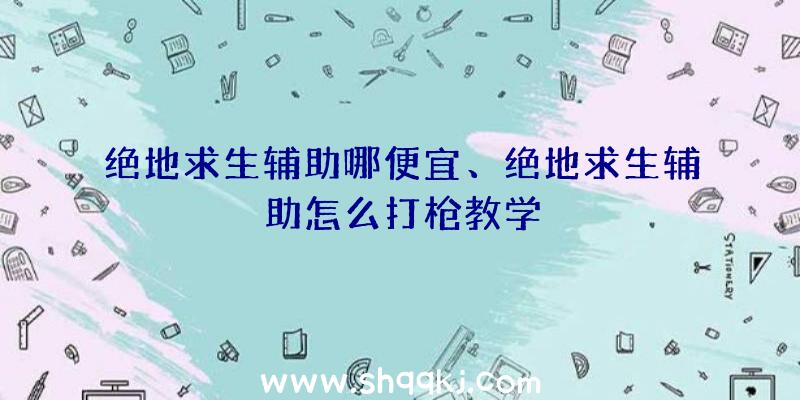 绝地求生辅助哪便宜、绝地求生辅助怎么打枪教学