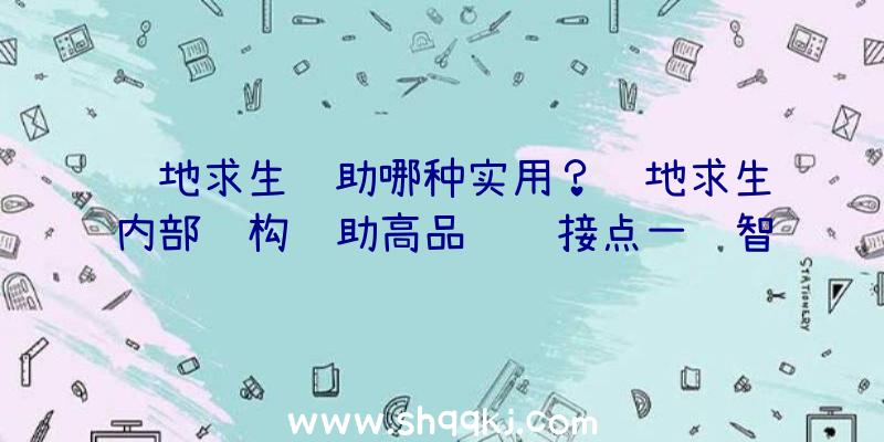 绝地求生辅助哪种实用？绝地求生内部结构辅助高品质连接点一键智能化顺畅