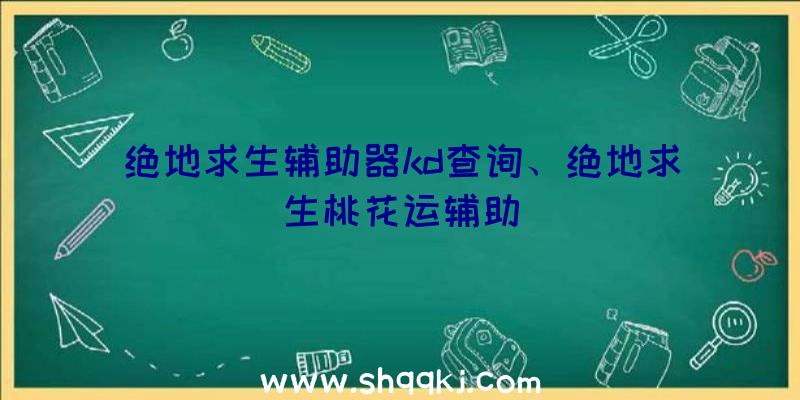 绝地求生辅助器kd查询、绝地求生桃花运辅助