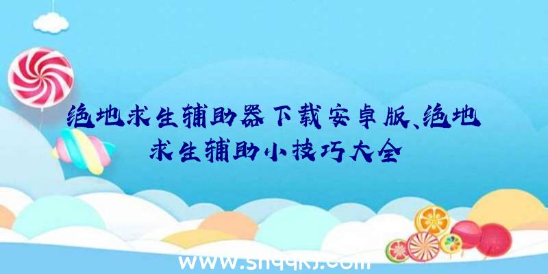 绝地求生辅助器下载安卓版、绝地求生辅助小技巧大全