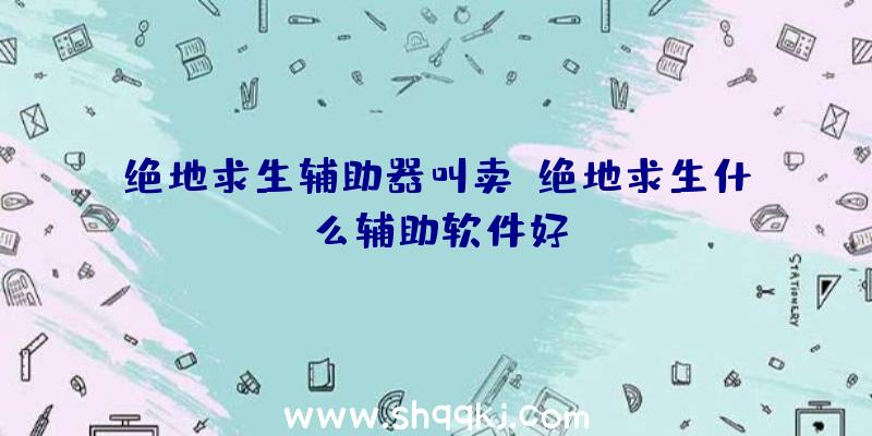 绝地求生辅助器叫卖、绝地求生什么辅助软件好