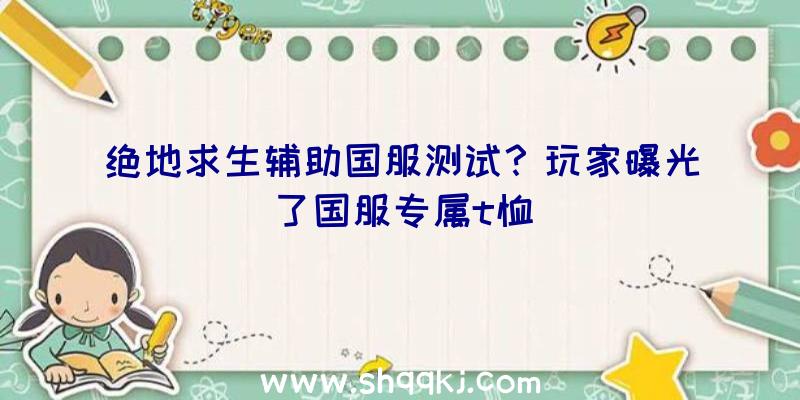 绝地求生辅助国服测试？玩家曝光了国服专属t恤