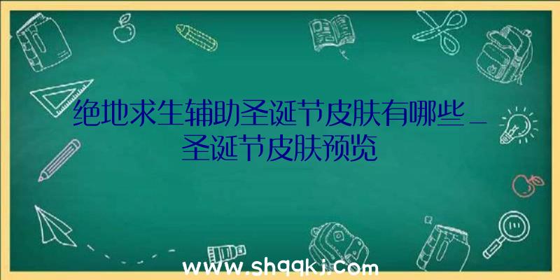 绝地求生辅助圣诞节皮肤有哪些_圣诞节皮肤预览