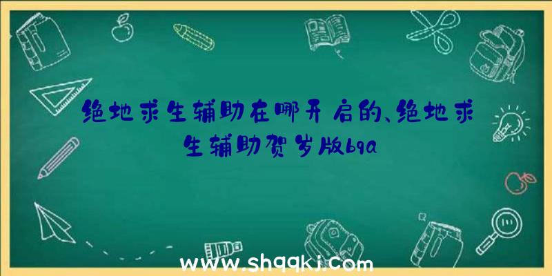 绝地求生辅助在哪开启的、绝地求生辅助贺岁版bqa