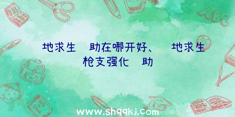 绝地求生辅助在哪开好、绝地求生枪支强化辅助