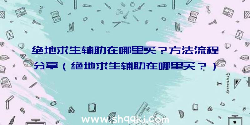 绝地求生辅助在哪里买？方法流程分享（绝地求生辅助在哪里买？）