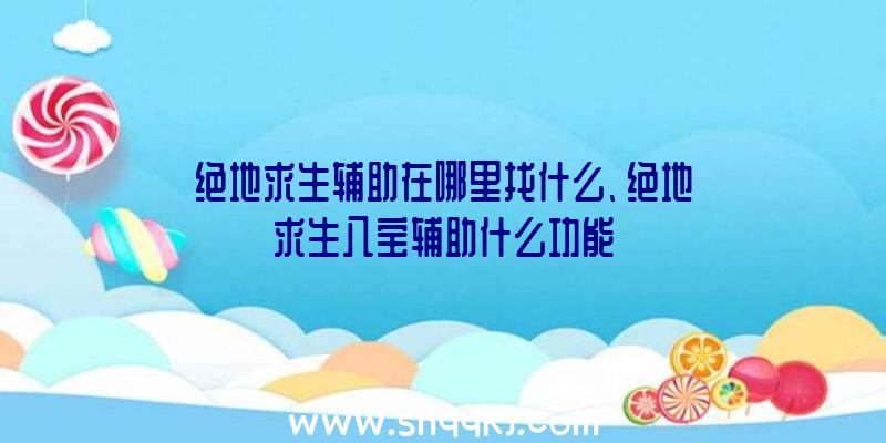 绝地求生辅助在哪里找什么、绝地求生八宝辅助什么功能