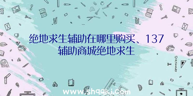 绝地求生辅助在哪里购买、137辅助商城绝地求生