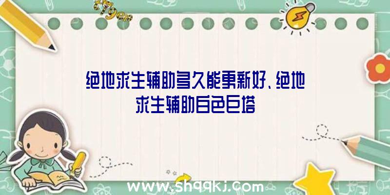 绝地求生辅助多久能更新好、绝地求生辅助白色巨塔