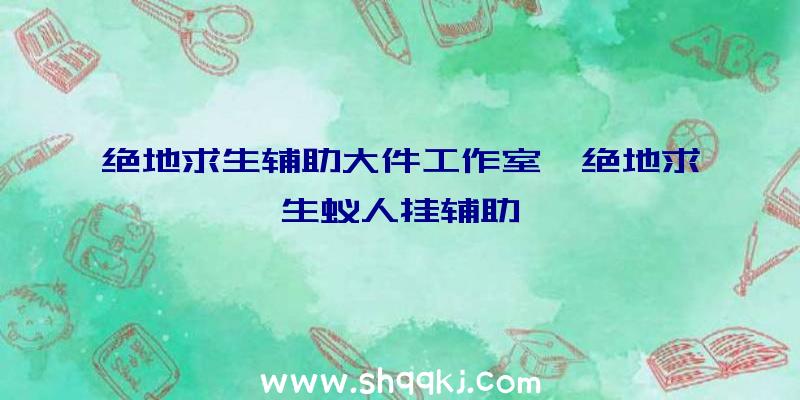 绝地求生辅助大件工作室、绝地求生蚁人挂辅助