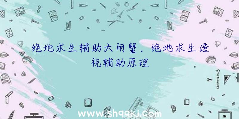 绝地求生辅助大闸蟹、绝地求生透视辅助原理