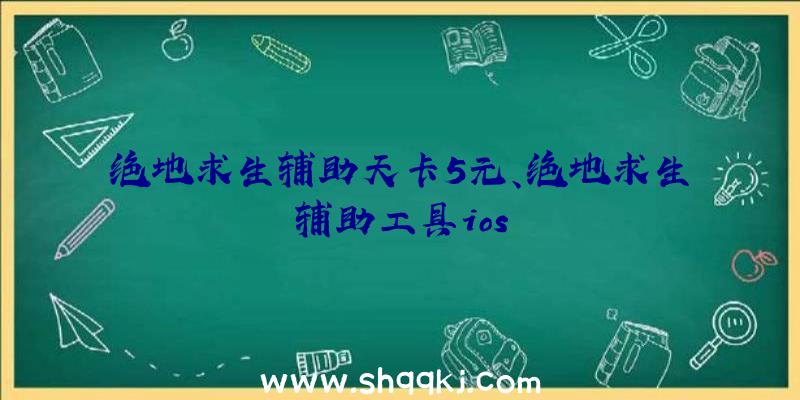 绝地求生辅助天卡5元、绝地求生辅助工具ios