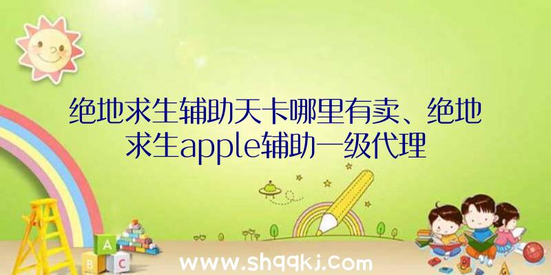 绝地求生辅助天卡哪里有卖、绝地求生apple辅助一级代理