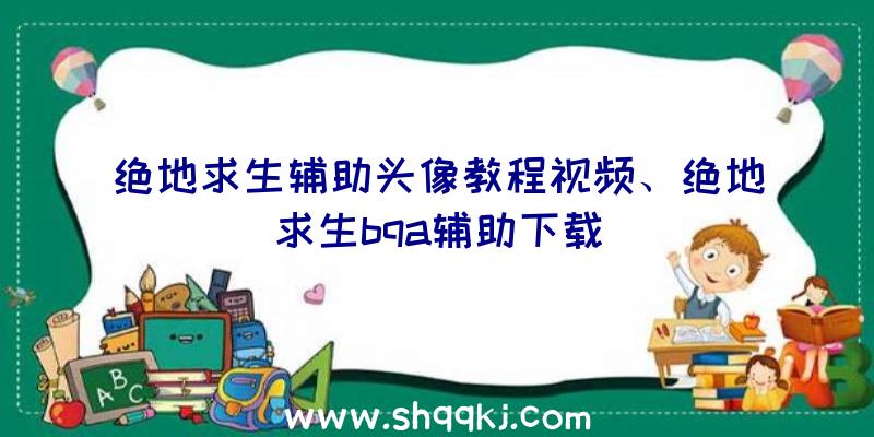 绝地求生辅助头像教程视频、绝地求生bqa辅助下载