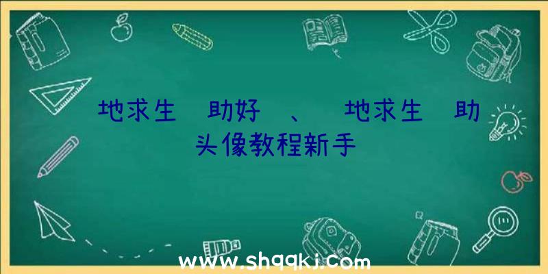 绝地求生辅助好贵、绝地求生辅助头像教程新手