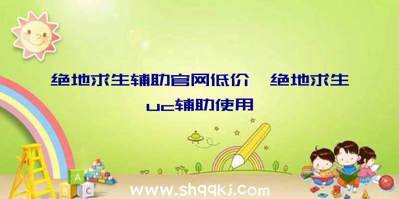 绝地求生辅助官网低价、绝地求生uc辅助使用