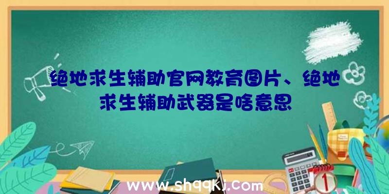 绝地求生辅助官网教育图片、绝地求生辅助武器是啥意思