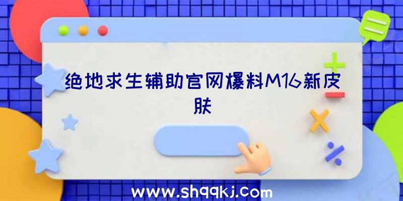 绝地求生辅助官网爆料M16新皮肤