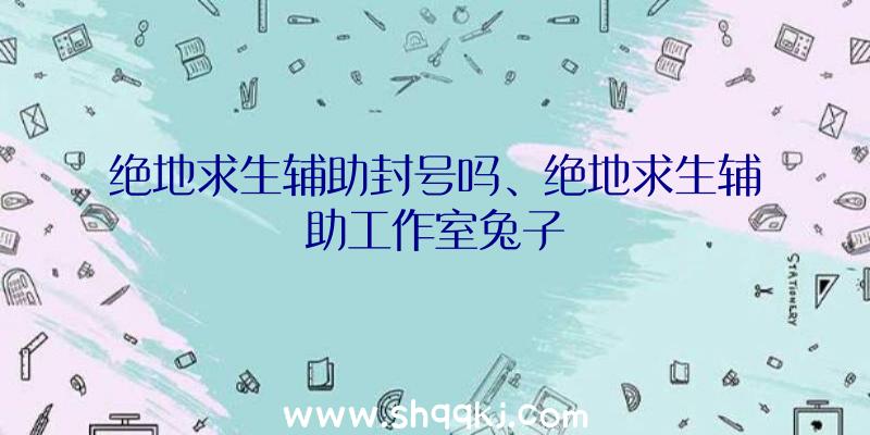 绝地求生辅助封号吗、绝地求生辅助工作室兔子