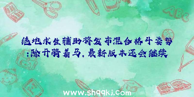 绝地求生辅助将发布混合格斗姿势：除开骑着马，最新版本还会继续发生NPC鸡？