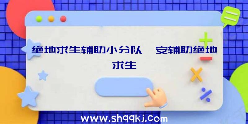 绝地求生辅助小分队、安辅助绝地求生