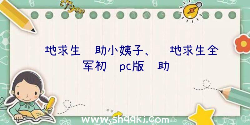 绝地求生辅助小姨子、绝地求生全军初级pc版辅助