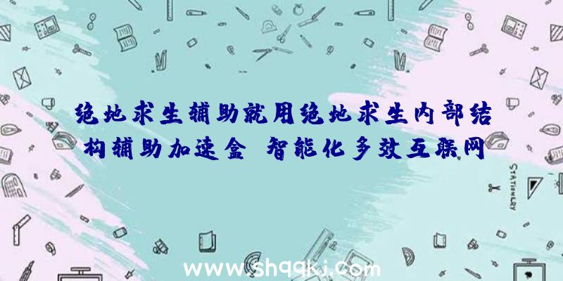 绝地求生辅助就用绝地求生内部结构辅助加速盒：智能化多效互联网好