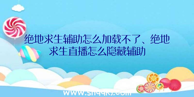 绝地求生辅助怎么加载不了、绝地求生直播怎么隐藏辅助