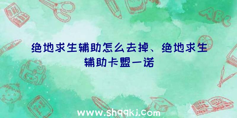 绝地求生辅助怎么去掉、绝地求生辅助卡盟一诺