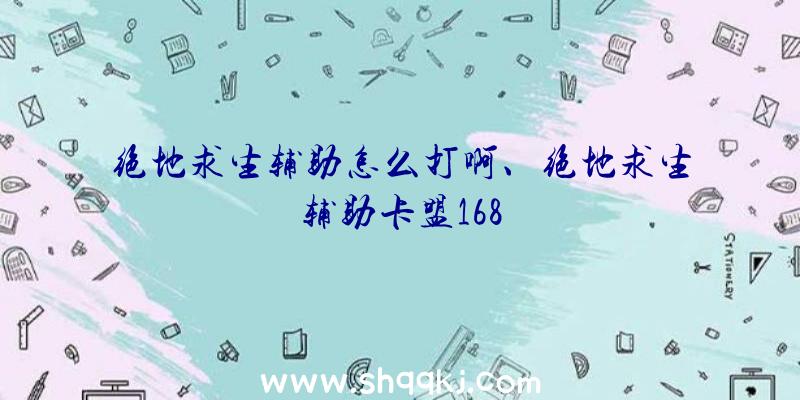 绝地求生辅助怎么打啊、绝地求生辅助卡盟168