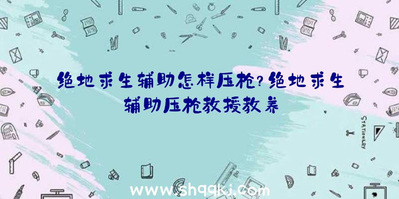 绝地求生辅助怎样压枪？绝地求生辅助压枪教授教养