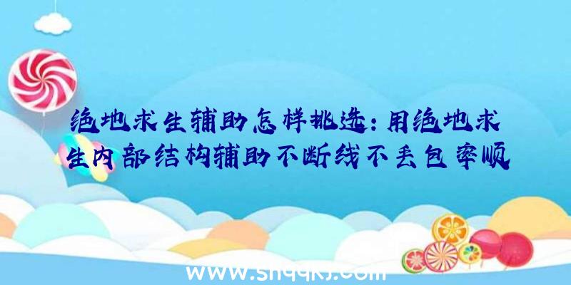 绝地求生辅助怎样挑选：用绝地求生内部结构辅助不断线不丢包率顺畅对决