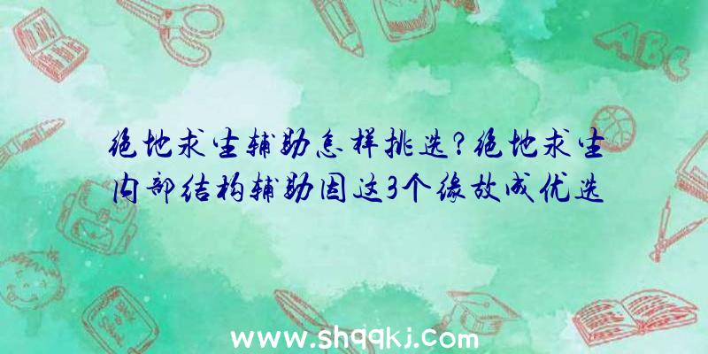 绝地求生辅助怎样挑选？绝地求生内部结构辅助因这3个缘故成优选