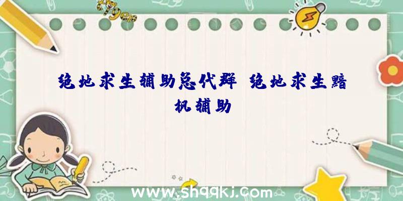 绝地求生辅助总代群、绝地求生黯枫辅助