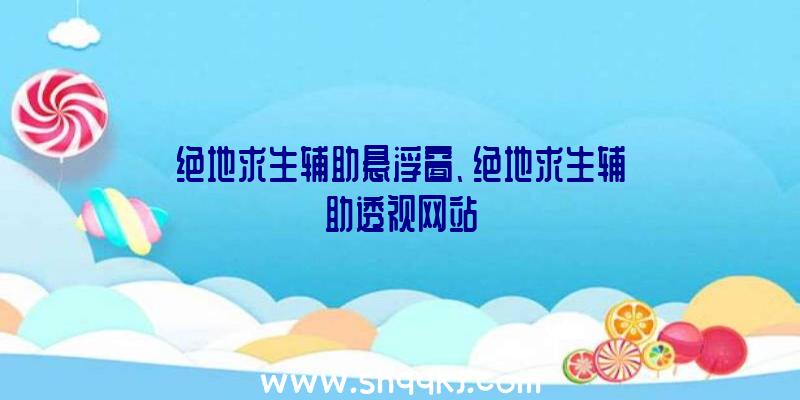 绝地求生辅助悬浮窗、绝地求生辅助透视网站