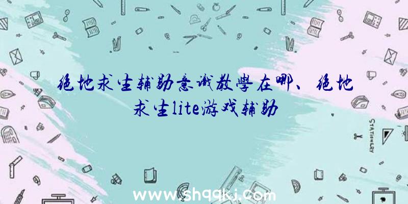 绝地求生辅助意识教学在哪、绝地求生lite游戏辅助