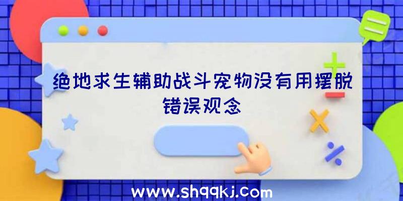 绝地求生辅助战斗宠物没有用摆脱错误观念