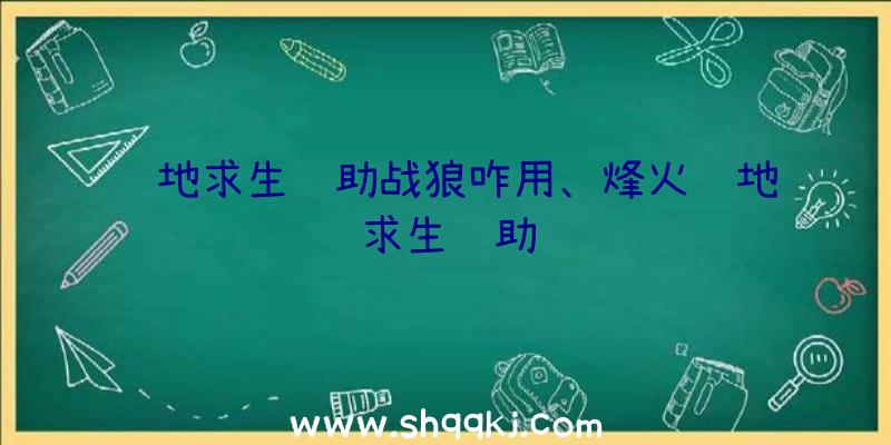 绝地求生辅助战狼咋用、烽火绝地求生辅助