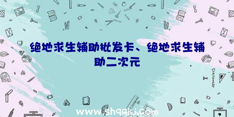 绝地求生辅助批发卡、绝地求生辅助二次元