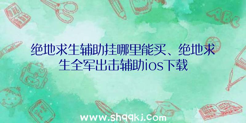 绝地求生辅助挂哪里能买、绝地求生全军出击辅助ios下载