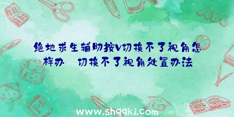 绝地求生辅助按V切换不了视角怎样办_切换不了视角处置办法