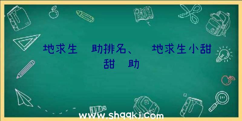 绝地求生辅助排名、绝地求生小甜甜辅助