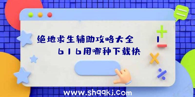 绝地求生辅助攻略大全：cod1616用哪种下载快？